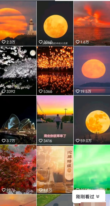 ���԰�ש������500+1313 ����:��Ե��Դ�� ����ID:96966 