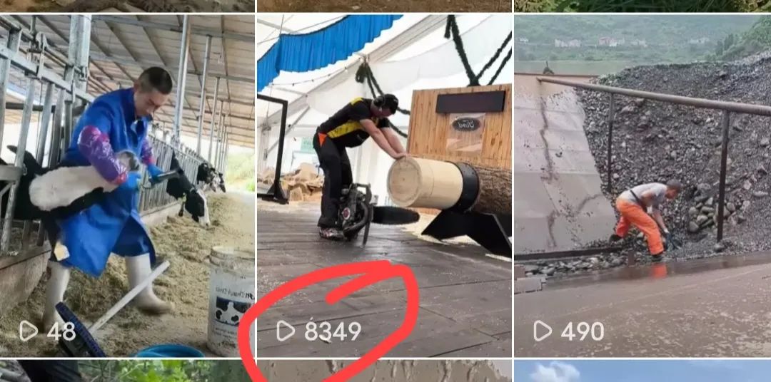 ôvivoƵƽ̨Ƶ׬Ǯ9579 :ԵԴ ID:112493 