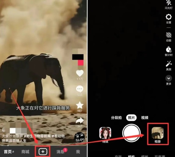 С˵Ͷιʽ淨ҪԼѡ⣬ÿԷ4290 :ԵԴ ID:115967 