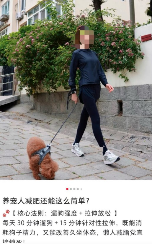 С淨粼֣±1w+6024 :ԵԴ ID:117059 