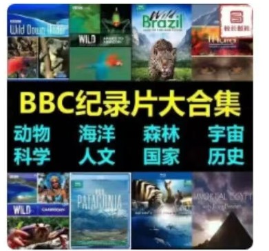 �Ա���������Ȩ���������������������Ȩ5037 ����:��Ե��Դ�� ����ID:118861 